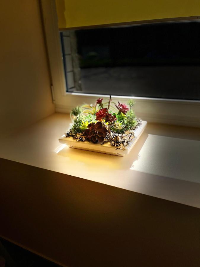 Siauliu Apartamentai Šiauliai 외부 사진